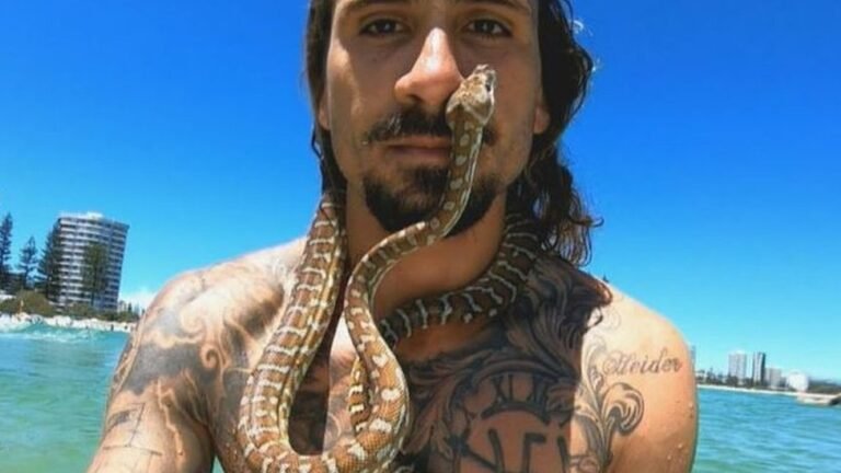 Australian Man Surfs With Python Around His Neck, Fined $1,500