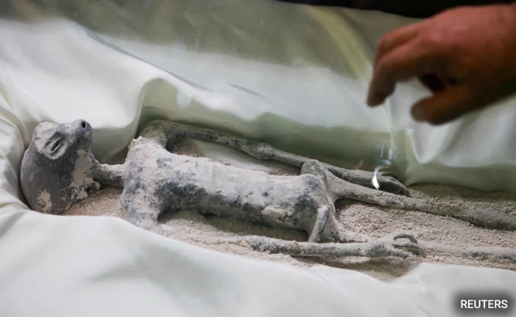 On Mexico's 'Alien' Mummies Elon Musk's Response It Was Cake All Along