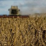 Poland will stop providing weapons to Ukraine as dispute over grain imports deepens