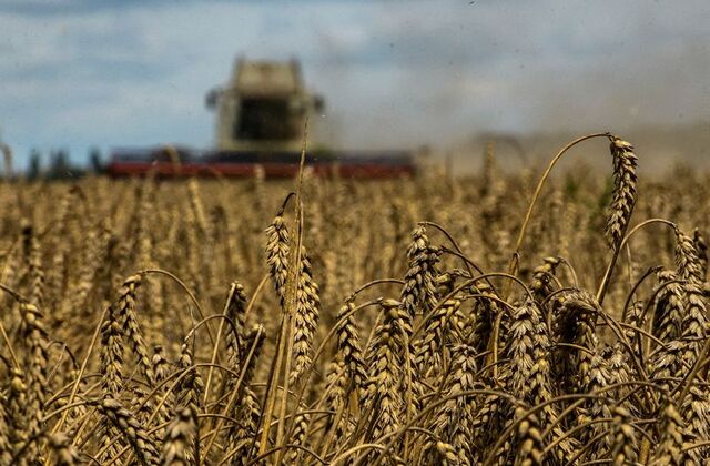 Poland will stop providing weapons to Ukraine as dispute over grain imports deepens