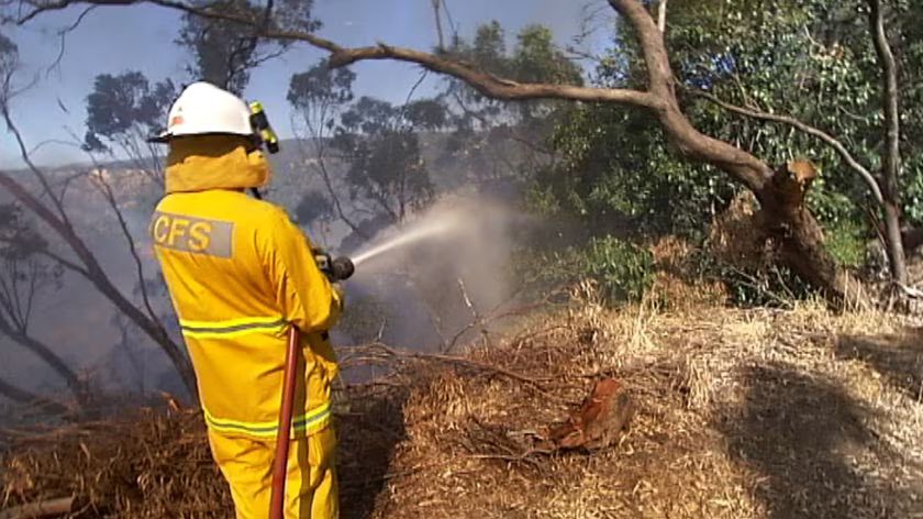 Australia Reels Under Sweltering Heat Amid Bushfire Threats