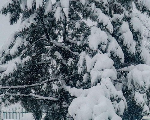 Heavy Snowfall Kills 15, Injures Dozens In Afghanistan