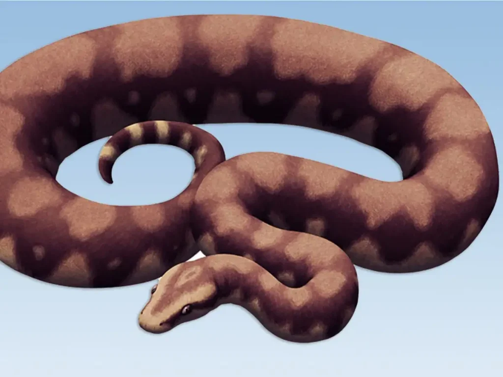 Colossal prehistoric snake discovered in India