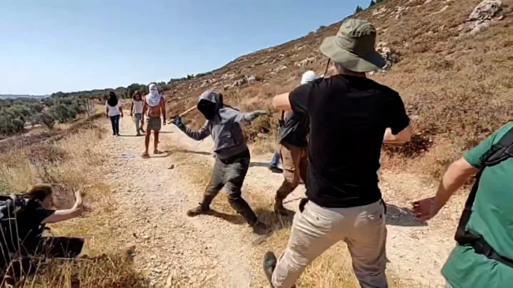 Israeli settlers attack Palestinian farmers