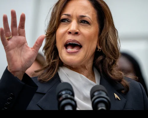 Right-wing media figures target Kamala Harris with race and gender-based attacks