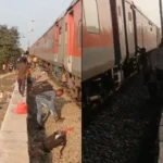 Rail accident kills 12 in western India after passengers jump onto tracks over fire alert