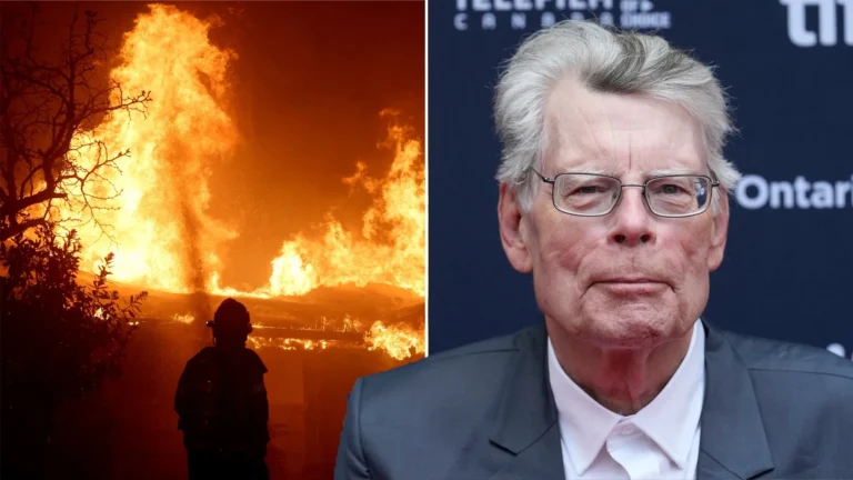 Stephen King wants the Oscars canceled in light of the Los Angeles wildfires