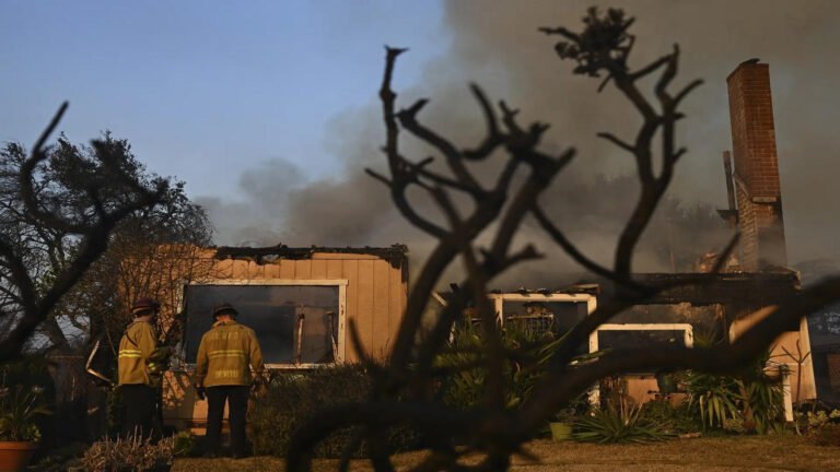 People are buying up burned lots in LA. Should they be concerned about future fires?